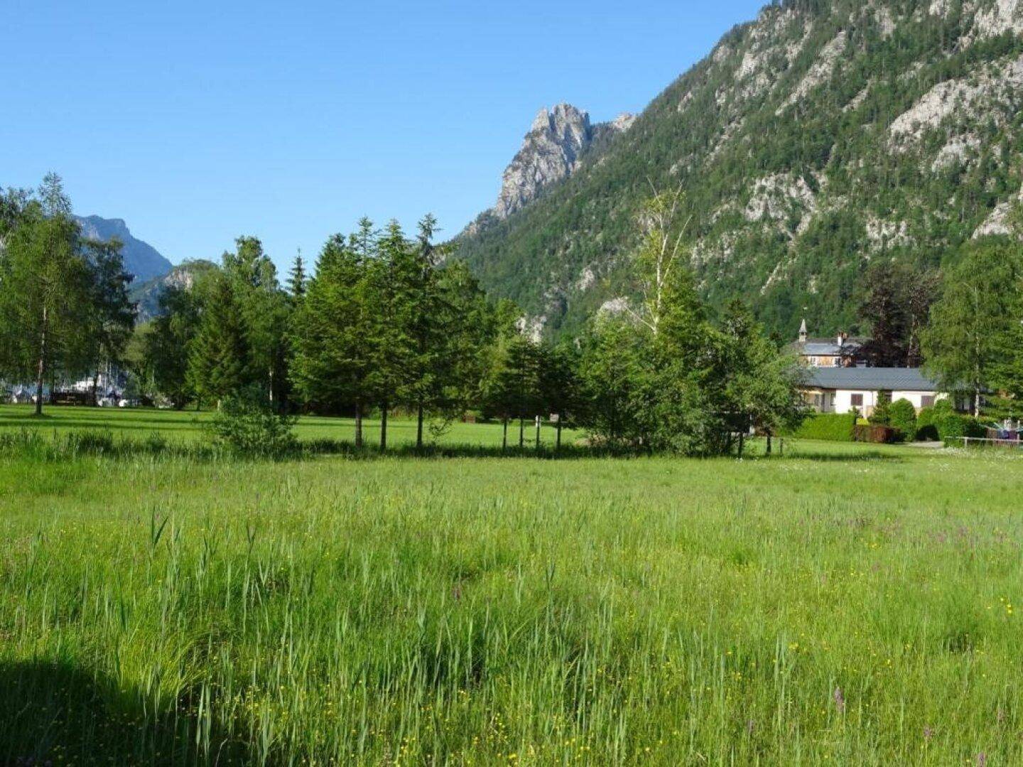 Ebensee: 2 sonnige Grundstücke mit je ca. 610m² - in Seenähe! - Ansicht 3