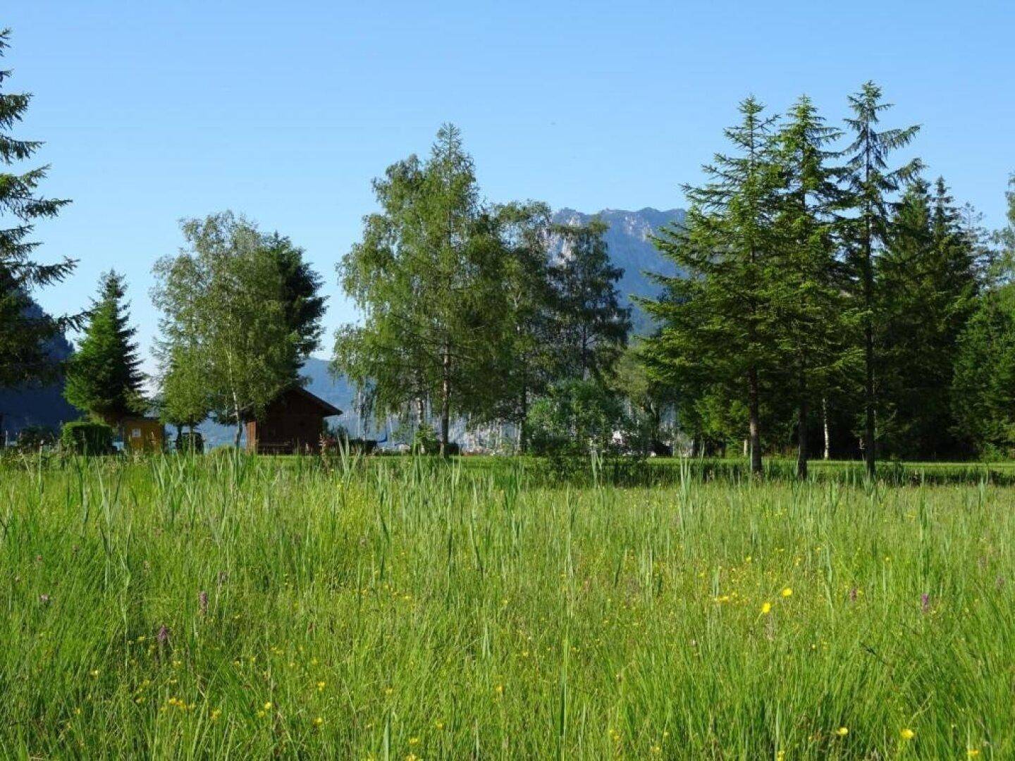 Ebensee: 2 sonnige Grundstücke mit je ca. 610m² - in Seenähe! - Ansicht 5