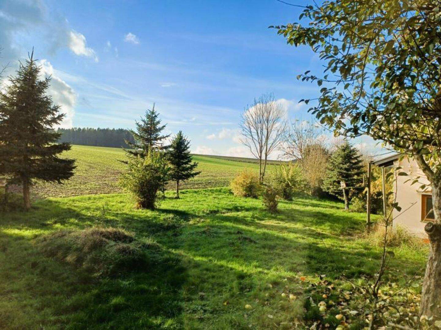 Eine weitläufige grüne Wiese mit Obstbäumen und einem Haus im Hintergrund, ideal für Naturliebhaber.