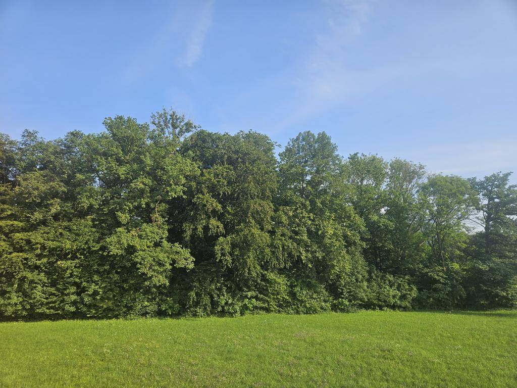 K1024_20250806_172638