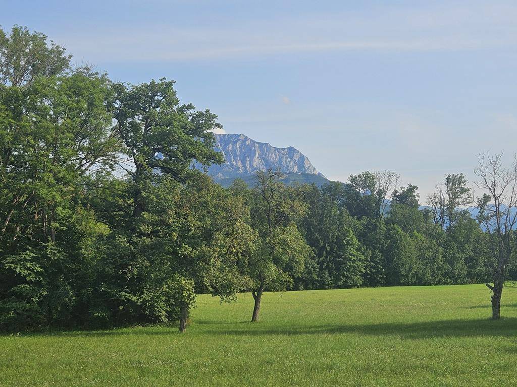 K1024_20250806_172514
