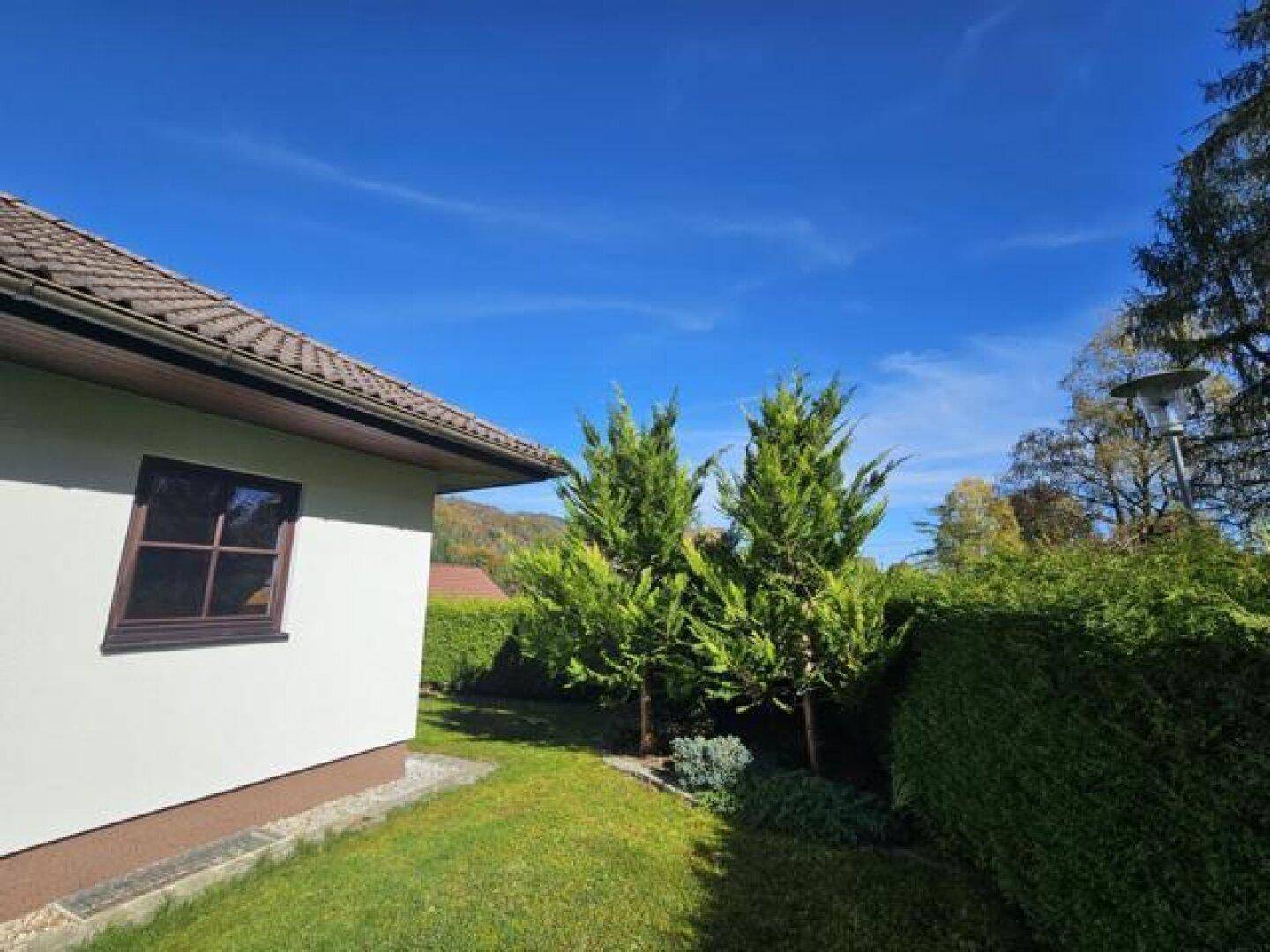 Hausfassade mit Fenster und Blick auf eine hohe Hecke sowie Bäume im Hintergrund.