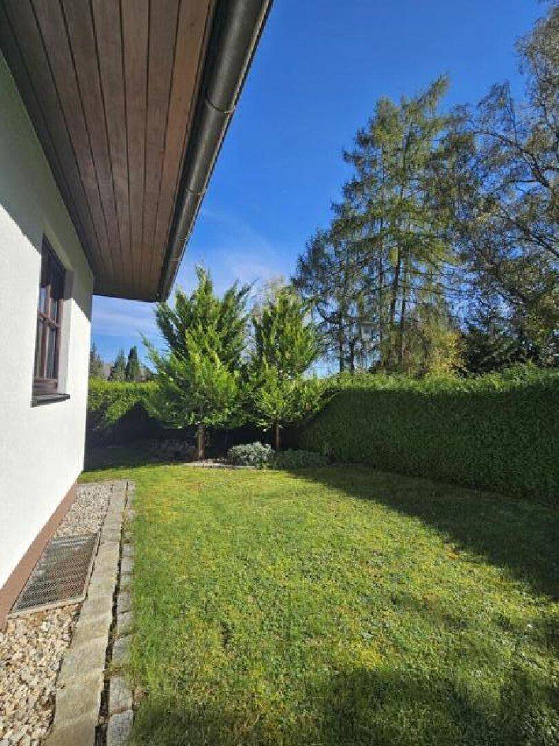 Schmaler Gartenbereich entlang der Hauswand mit Rasen, Hecke und hohen Bäumen im Hintergrund.