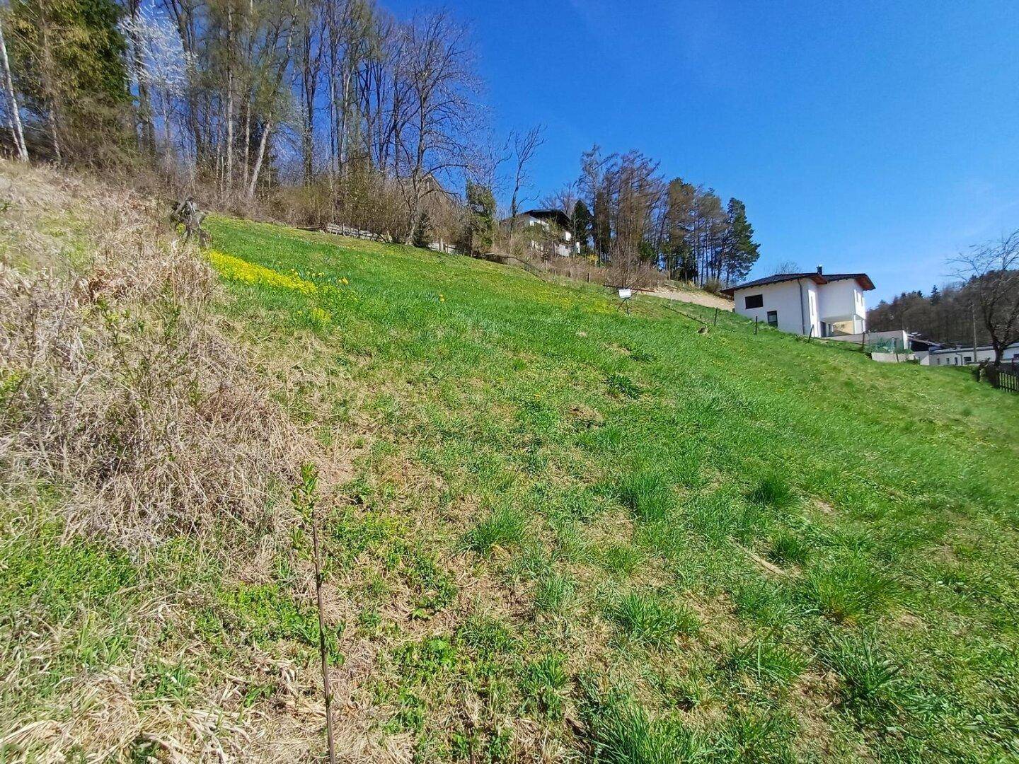 Sonnige Hanglage mit schönem Gebirgs- und Fernblick! - Ansicht 5