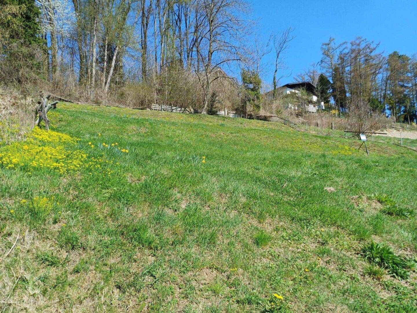 Sonnige Hanglage mit schönem Gebirgs- und Fernblick! - Ansicht 6