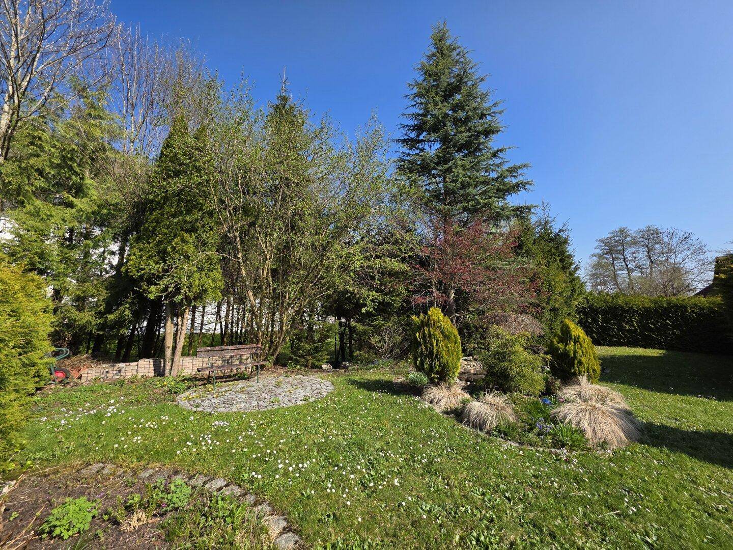 Idyllischer Gartenbereich mit Sitzbank, umgeben von verschiedenen Bäumen und Sträuchern, ideal zum Verweilen.