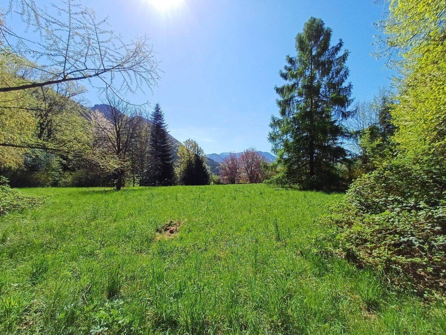 Weitläufige grüne Wiesenfläche mit Bäumen und Sträuchern, die eine idyllische Naturkulisse bilden.