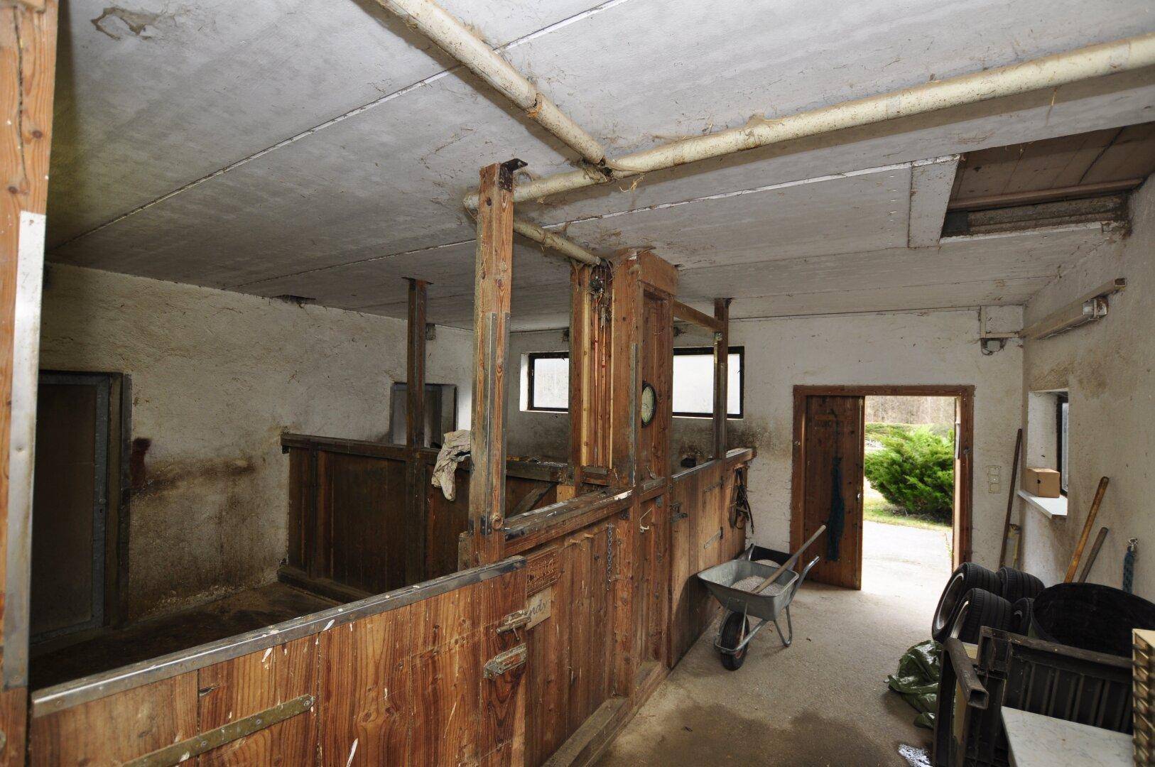 Rustikaler Stallbereich mit Holztrennwänden und Fenstern, bereit für Tierhaltung.