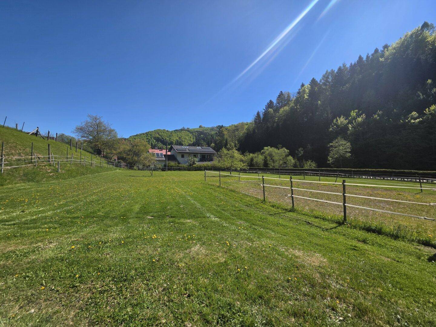 Weitläufige grüne Wiesen und bewaldete Hügel unter strahlend blauem Himmel.