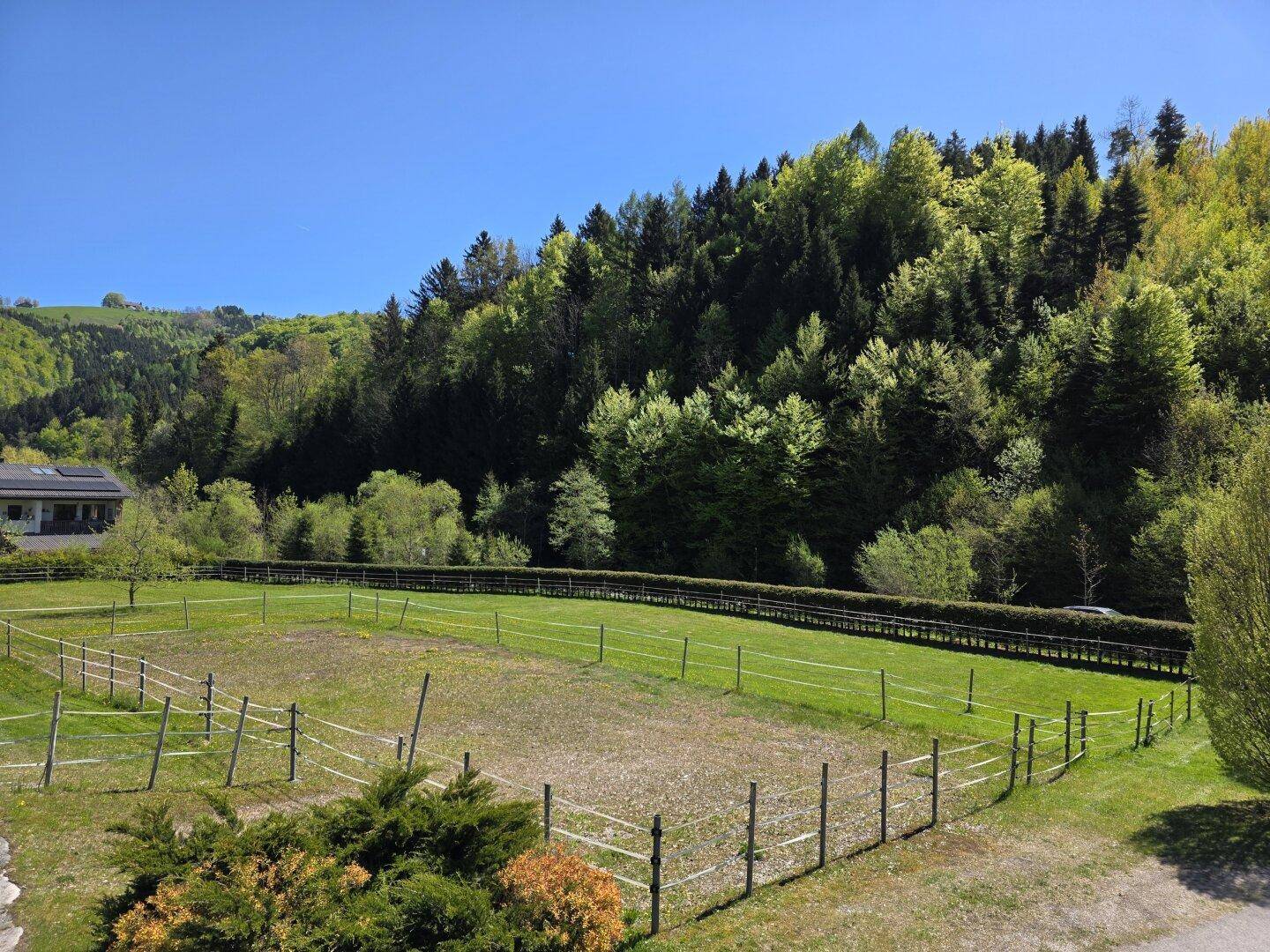 Weitläufige Weideflächen und Waldgebiete unter strahlend blauem Himmel, ideal für Tierhaltung.