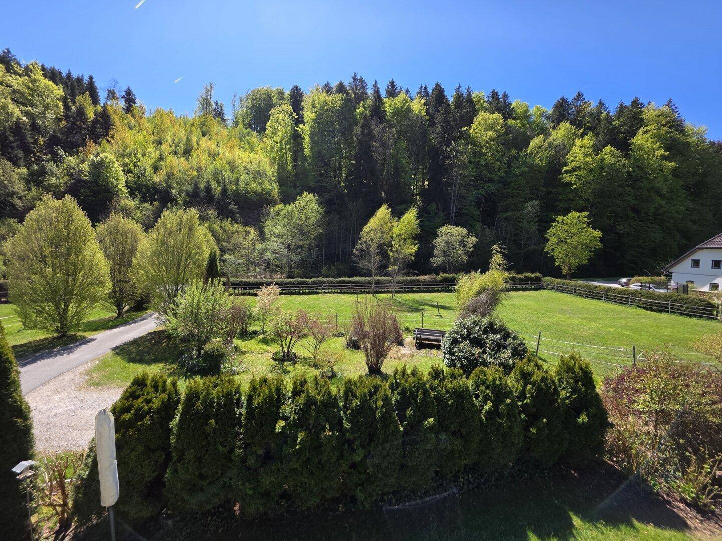 Panoramablick auf die weitläufigen Grünflächen und den dichten Wald unter blauem Himmel.