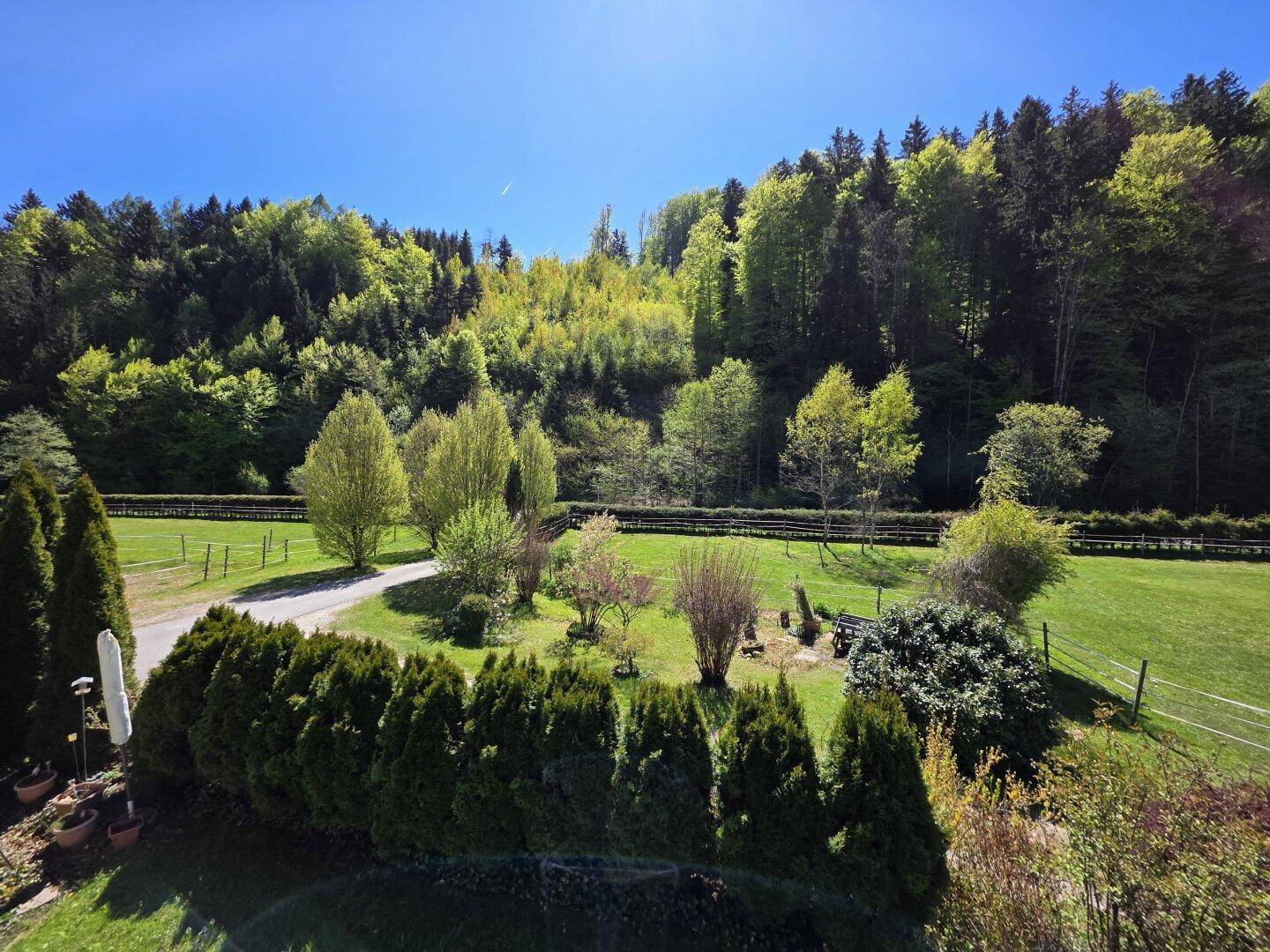 Weitläufiger Blick auf die grüne Hügellandschaft und den angrenzenden Wald unter blauem Himmel.