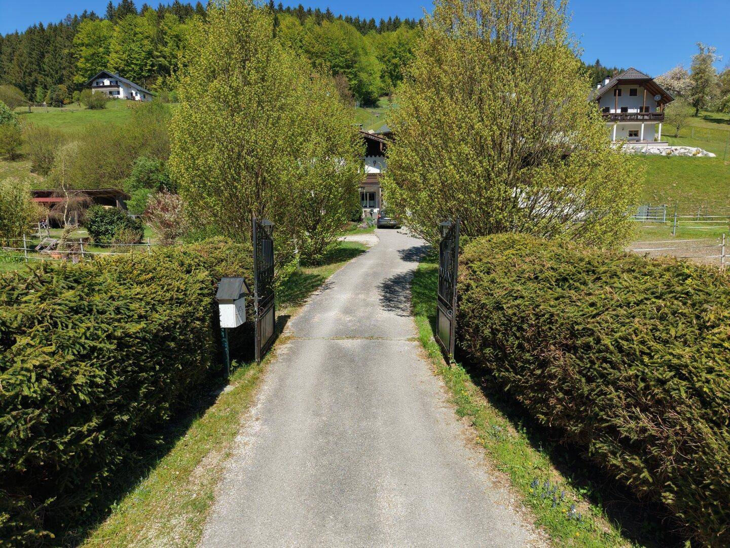 Zufahrt zum Anwesen mit offenem Tor, umgeben von gepflegten Hecken und Bäumen.
