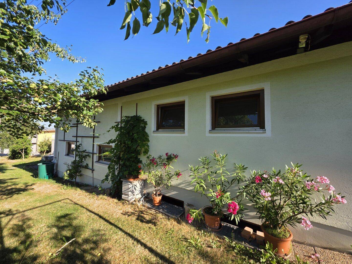 Seitlicher Gartenbereich des Hauses mit Pflanzen und viel Grünfläche.
