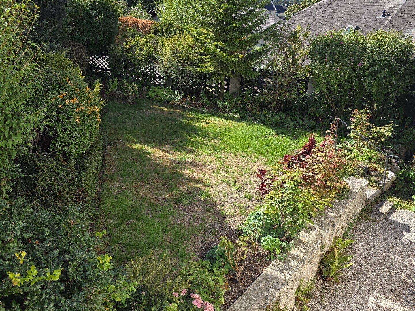 Übersicht über den grünen Garten mit Rasenfläche, umgeben von Hecken und Sträuchern, unter hellem Sonnenlicht.