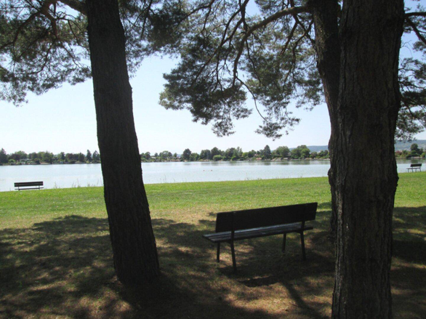 Malerischer Blick auf einen See mit Bäumen und Bänken im Vordergrund.