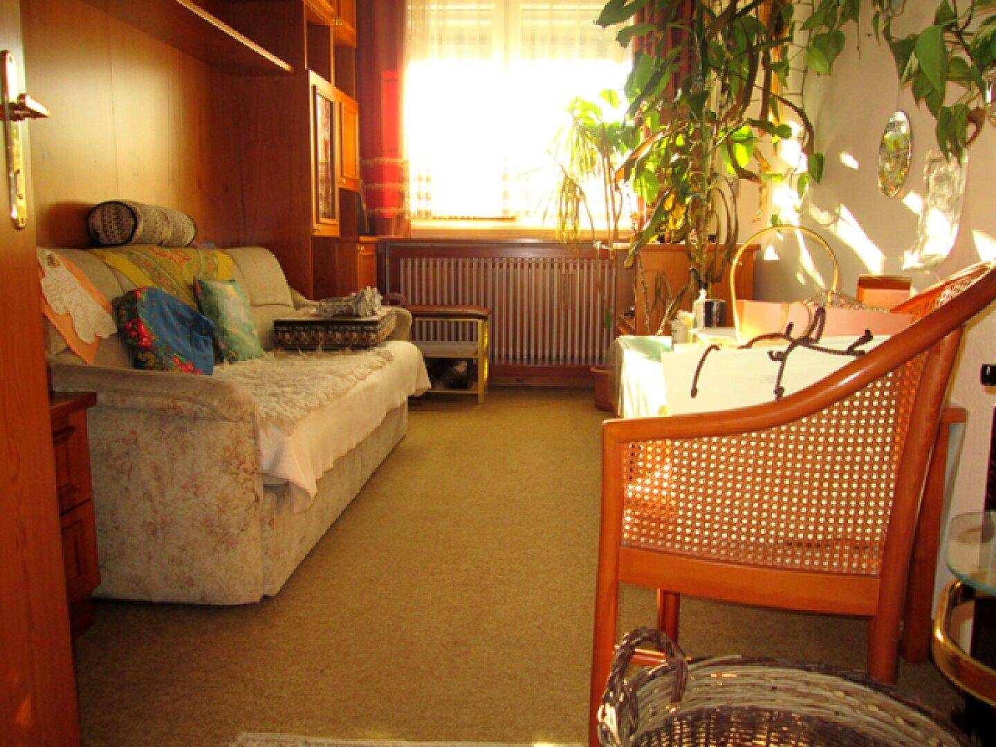 Wohnzimmer mit einem Sofa, vielen Pflanzen und einem Fenster, das viel natürliches Licht hereinlässt.