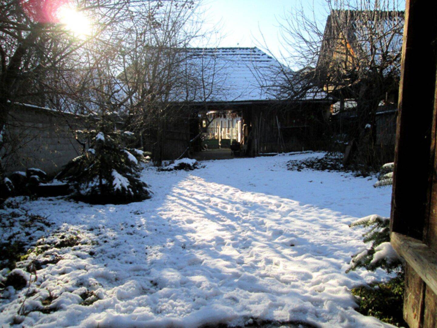 Schneebedeckter Gartenbereich mit Sonnenlicht, das durch die Bäume fällt, und einer Scheune im Hintergrund.