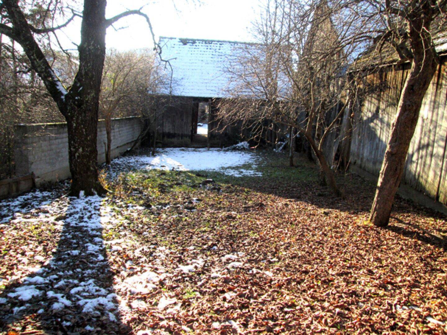 Gartenbereich mit gefallenen Blättern und Schneeresten, umgeben von Bäumen und einer Mauer.
