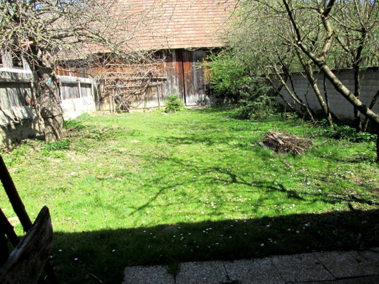 Großer, sonniger Garten mit Rasenfläche, Bäumen und einer Holzhütte im Hintergrund.