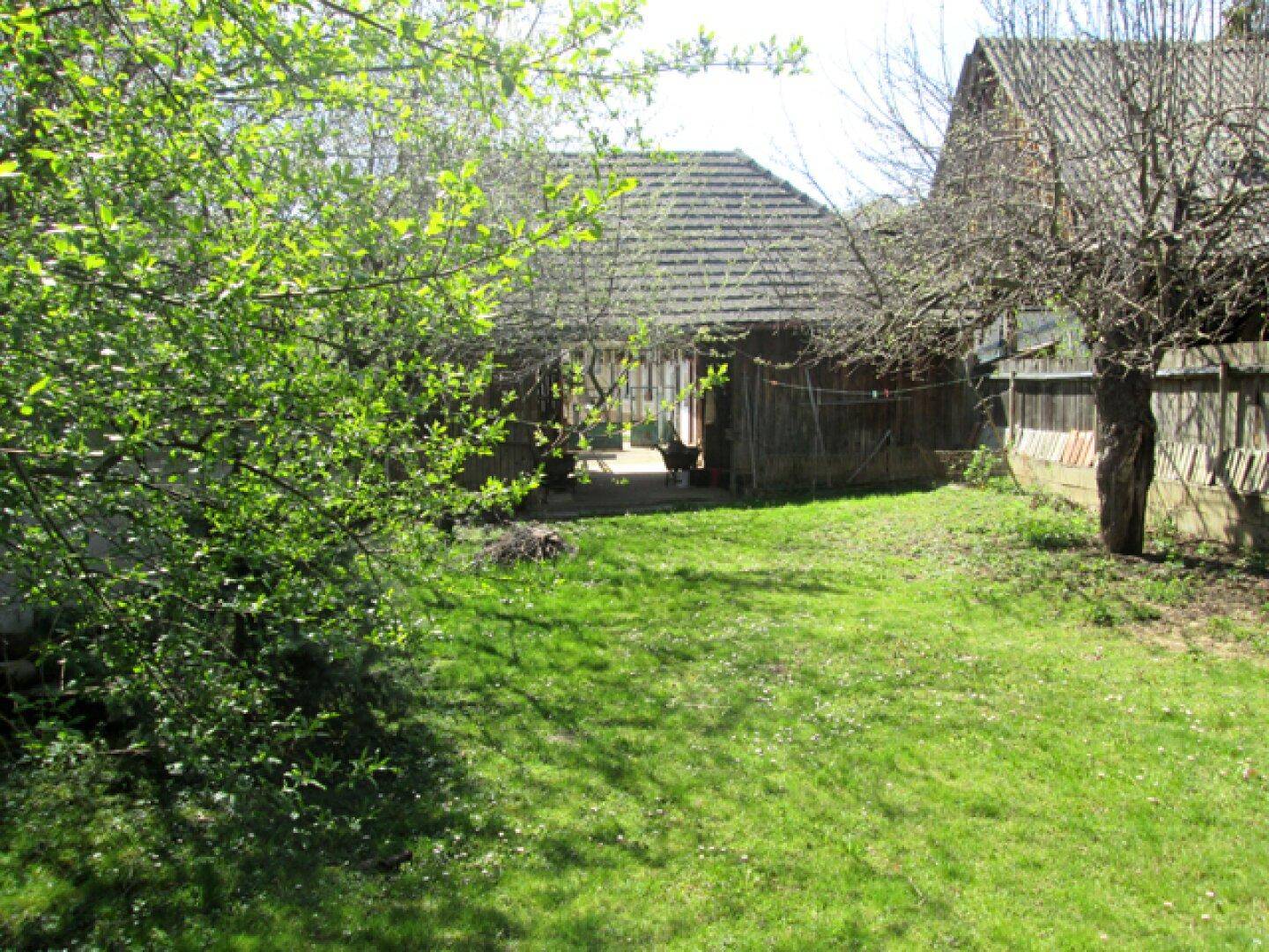 Grüner Gartenbereich mit Rasenfläche und rustikalem Holzgebäude im Hintergrund an einem sonnigen Tag.