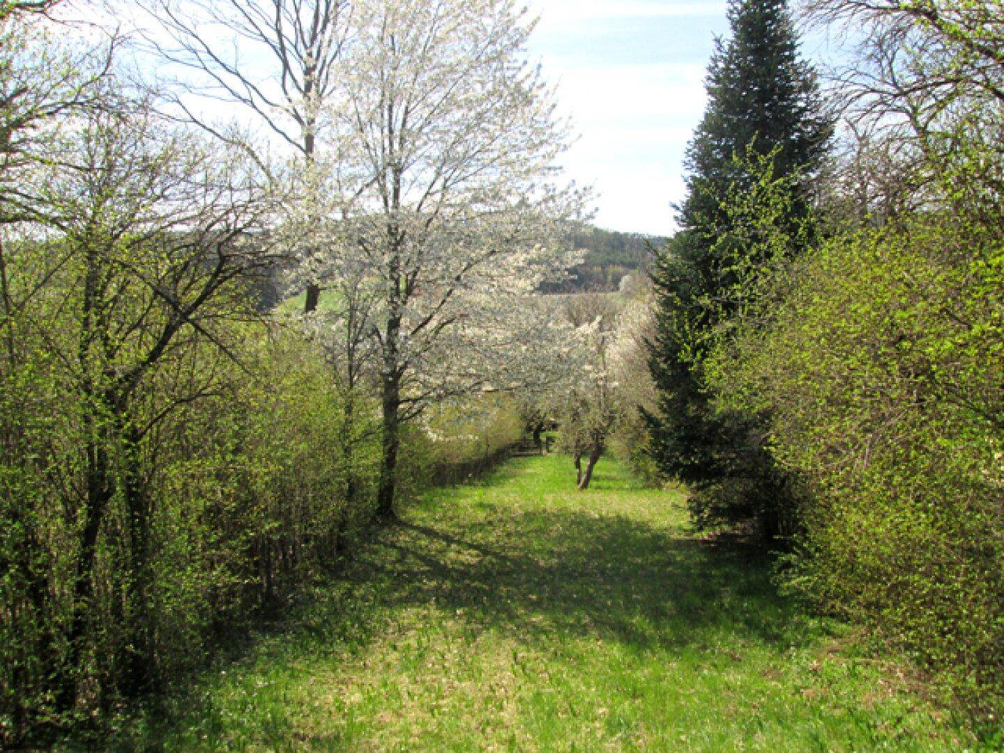 Abfallender Gartenbereich mit Bäumen und Sträuchern, der einen weiten Blick auf die Landschaft bietet.