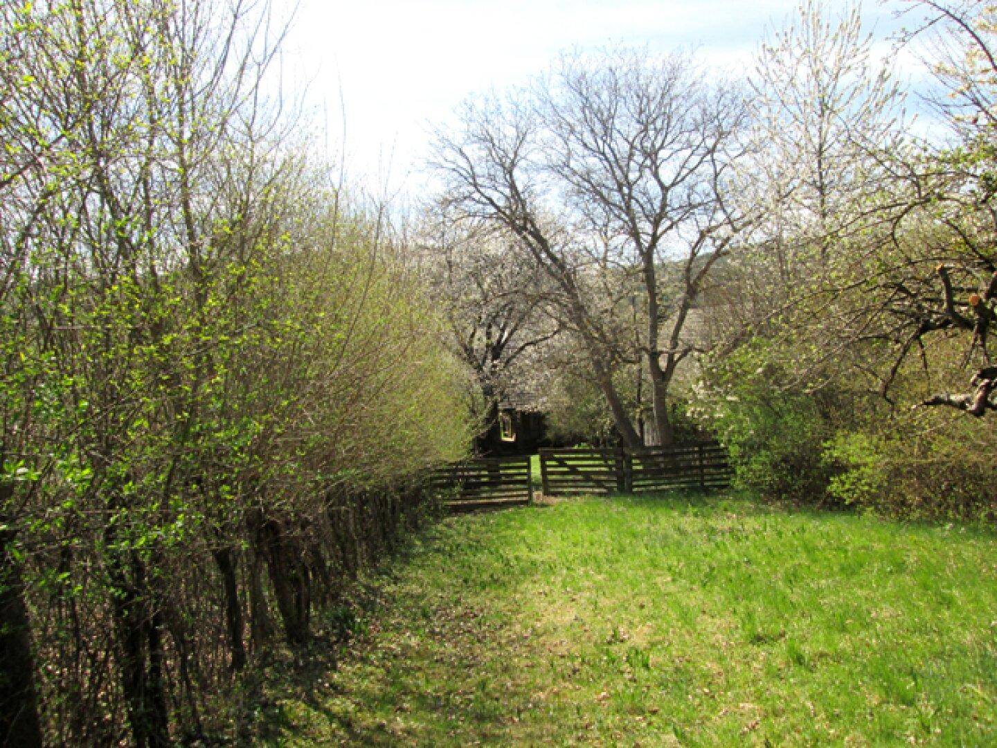 Langer, grüner Gartenweg, der zu einem Holzzaun und einem Gebäude im Hintergrund führt.
