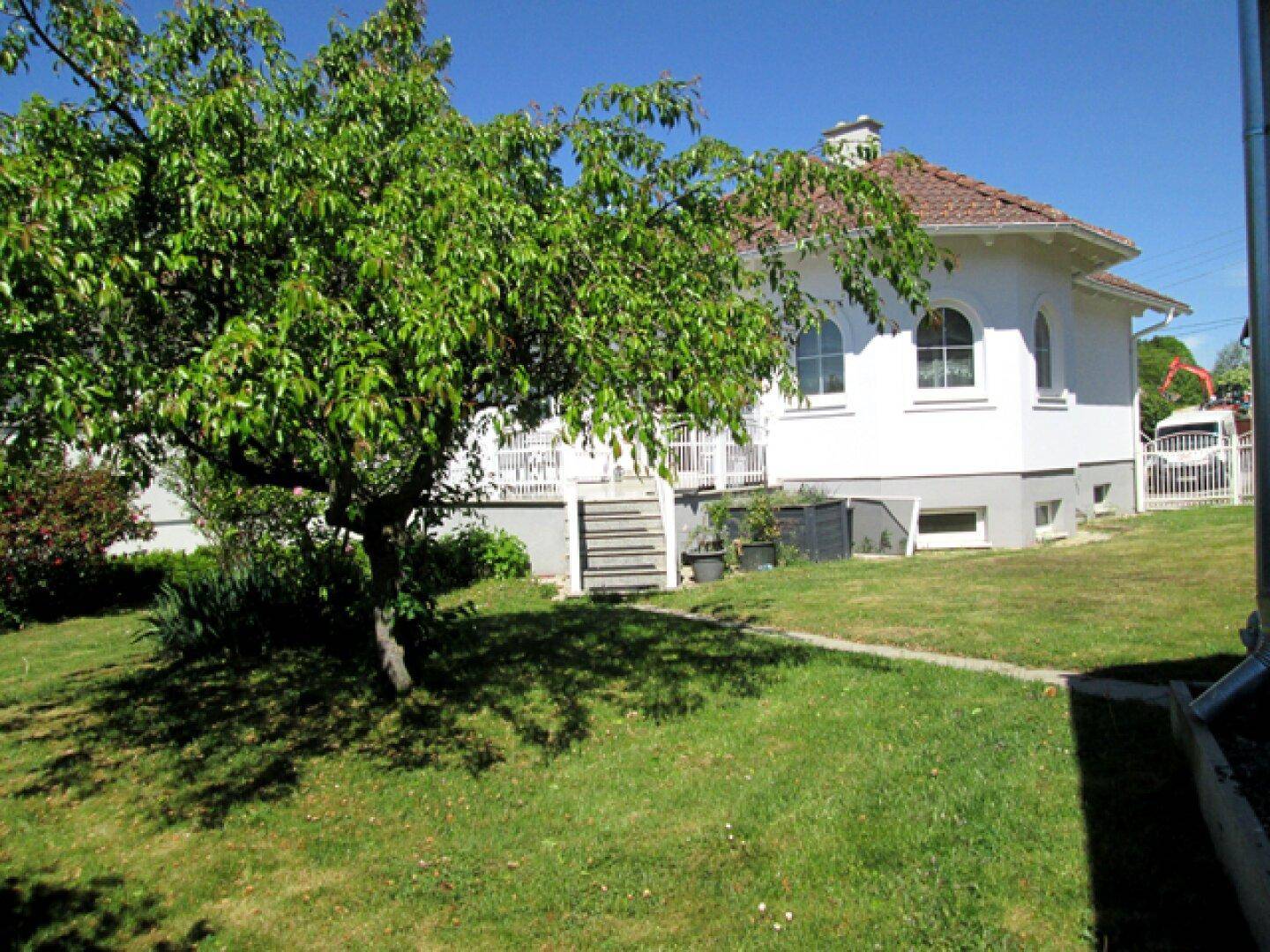 Grüner Gartenbereich mit Rasenfläche, Obstbaum und Blick auf das Haus.