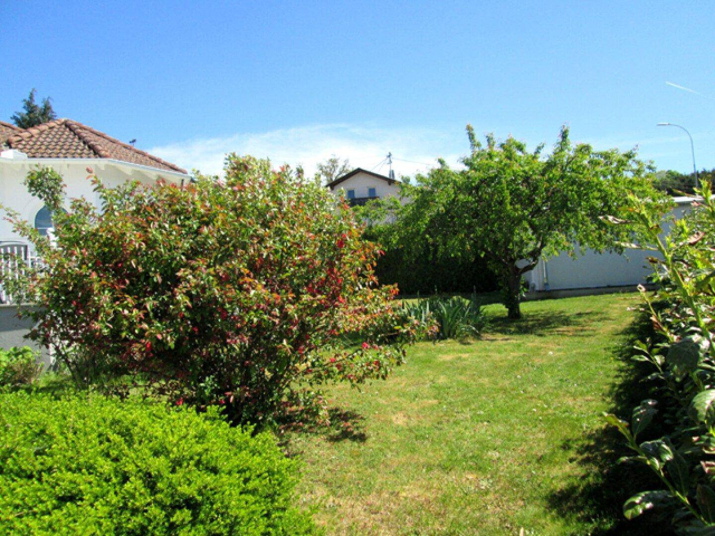 Sonnige Gartenfläche mit Sträuchern, Baum und Blick auf die Umgebung.