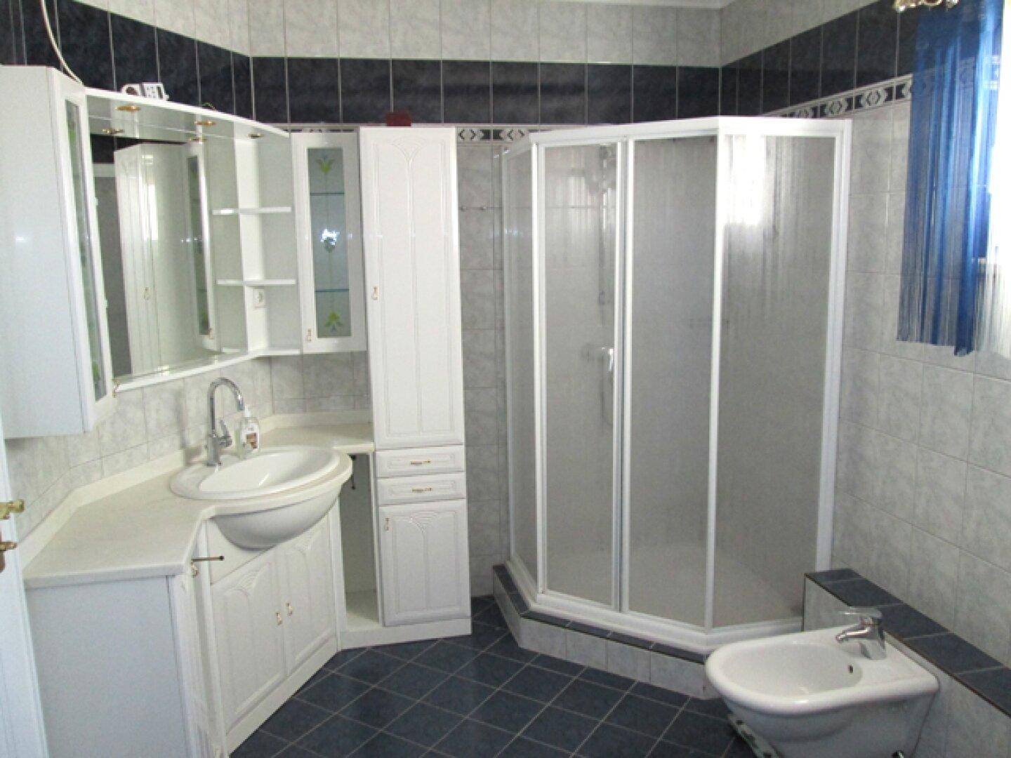 Badezimmer mit Waschbecken, Spiegelschrank, Duschkabine und Bidet, in Blau- und Weißtönen gefliest.