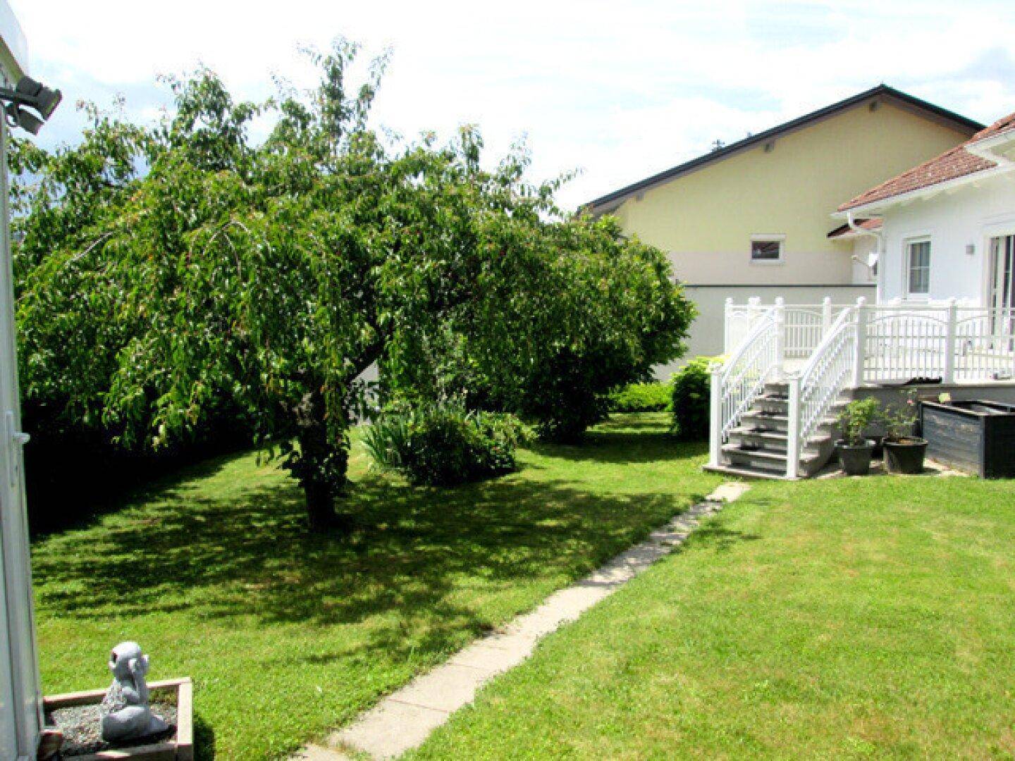 Grüner Garten mit altem Baum und Zugang zur Terrasse des Hauses.