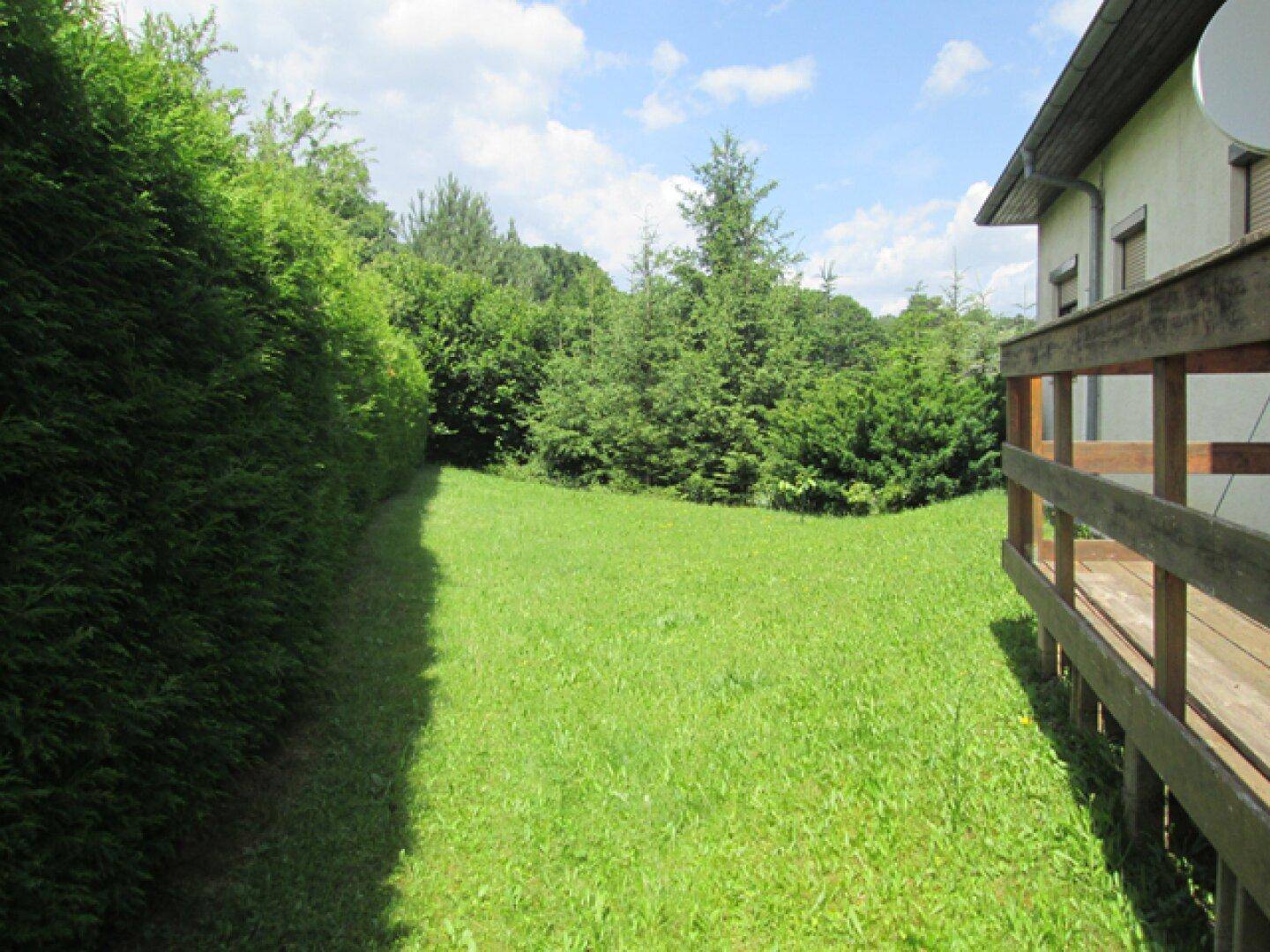 Große Rasenfläche neben dem Haus, umgeben von hohen Hecken und Bäumen im Sonnenlicht.