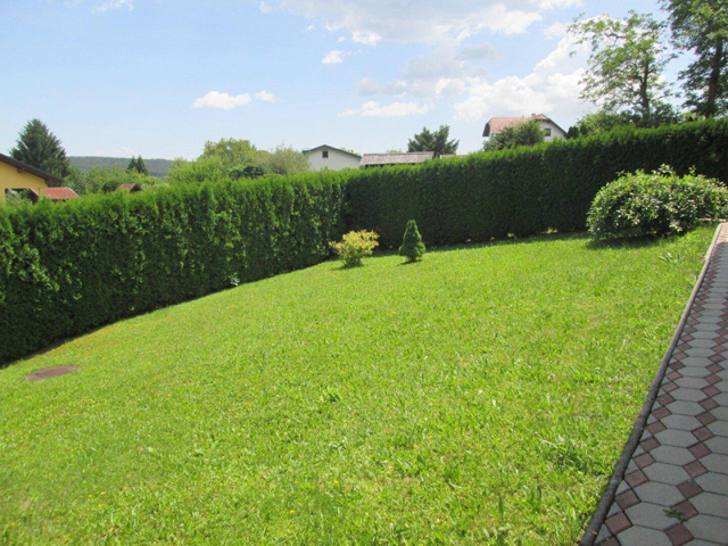 Gepflegter Gartenbereich mit Rasen und gepflastertem Weg, begrenzt durch eine hohe Hecke.