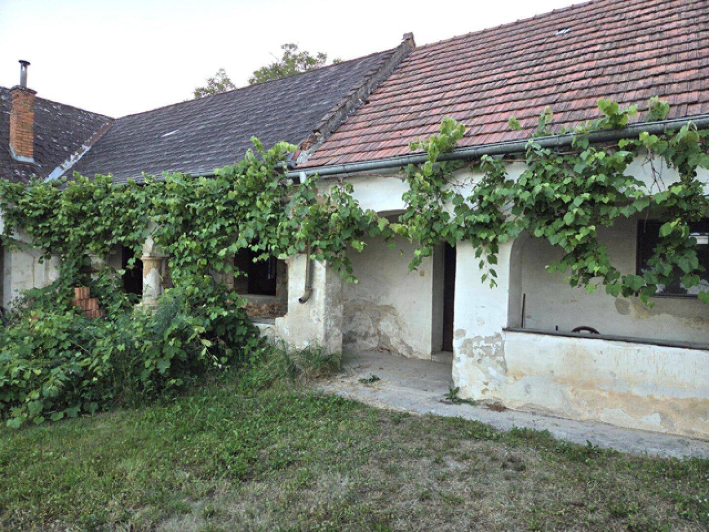 Innenhof mit üppigem Grün und einem Gebäude, das deutliche Spuren der Zeit zeigt.