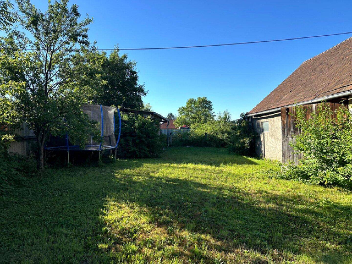 Großer, sonniger Garten mit Rasenfläche und einem Trampolin, umgeben von Bäumen.