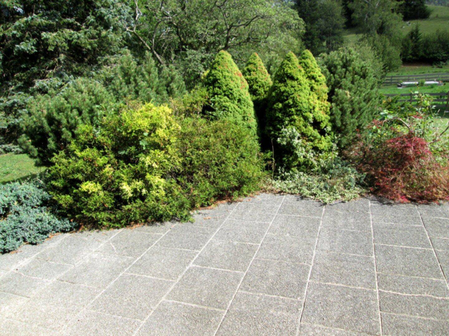 Gepflasterte Terrasse umgeben von grünen Büschen und Bäumen mit Blick ins Grüne.