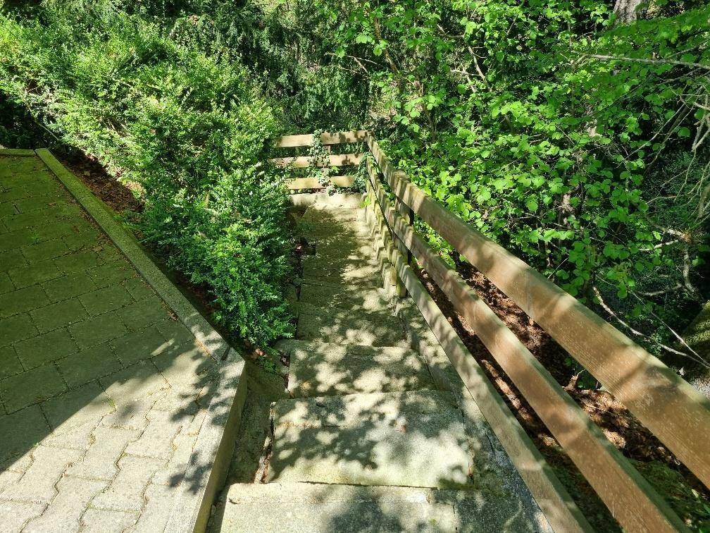 Steintreppe mit Holzgeländer führt hinunter in einen dicht bewachsenen, schattigen Waldbereich.