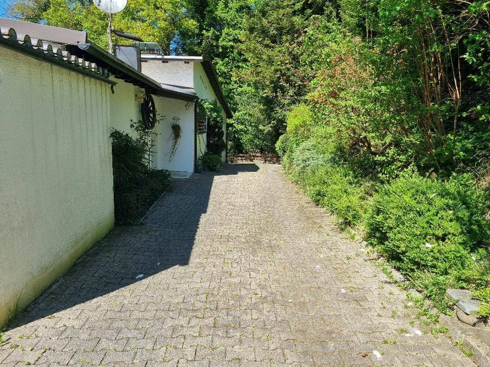 Gepflasterte Zufahrt, die zum Haus führt, umgeben von üppigem Grün und hohen Büschen.