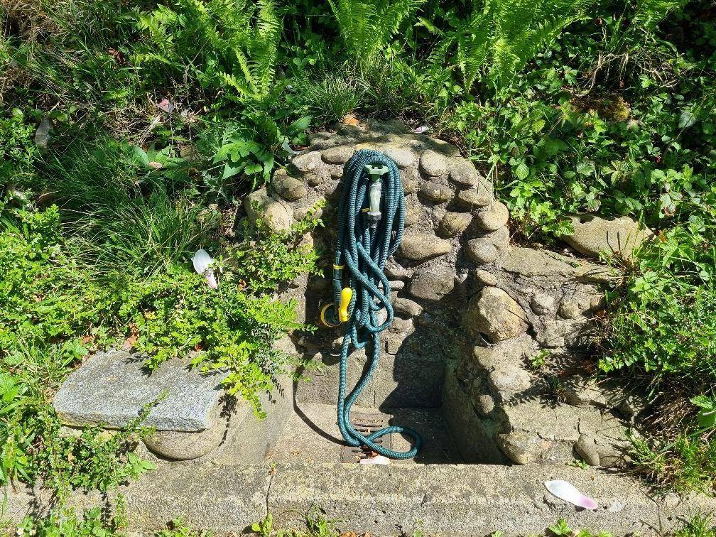 Außenwasserhahn mit aufgerolltem Schlauch, in einer Steinumrandung, umgeben von grünen Pflanzen.