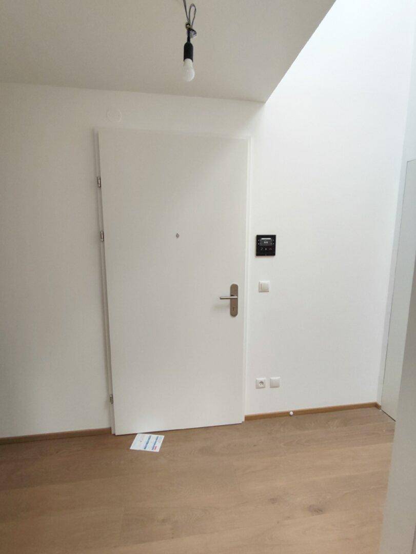 Heller Eingangsbereich mit Holzboden und einer modernen, schlichten Eingangstür.