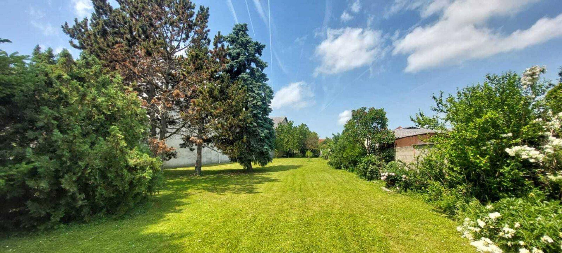 Weitläufiger grüner Garten mit hohen Bäumen und viel Platz zum Entspannen.