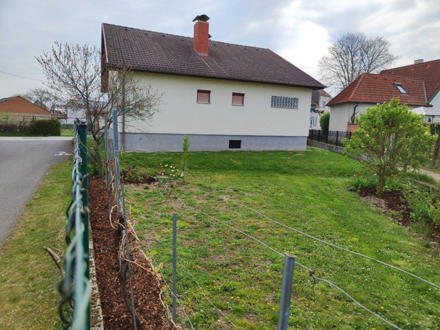 Gartenbereich mit jungen Weinreben, Rasenfläche und Blick auf das Haus.