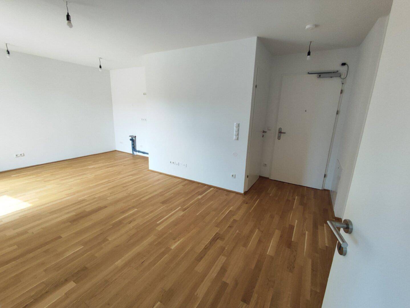 Geräumiger, heller Wohnbereich mit Parkettboden und Eingangstür, ideal für offenes Wohnen.