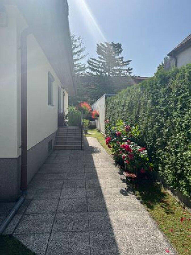 Seitlicher Zugang zum Haus mit gepflastertem Weg und hohen Hecken unter hellem Sonnenlicht.
