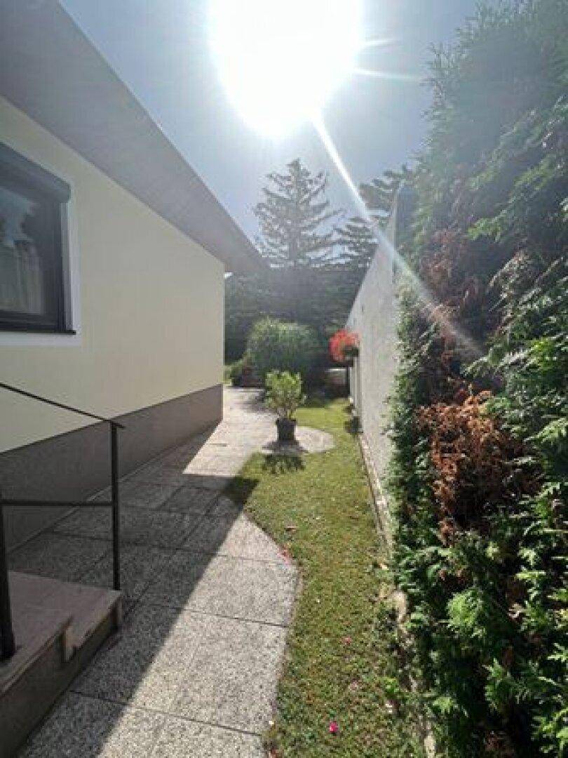 Schmaler Gartenweg zwischen Haus und hoher Hecke, führt zum hinteren Bereich des Grundstücks.