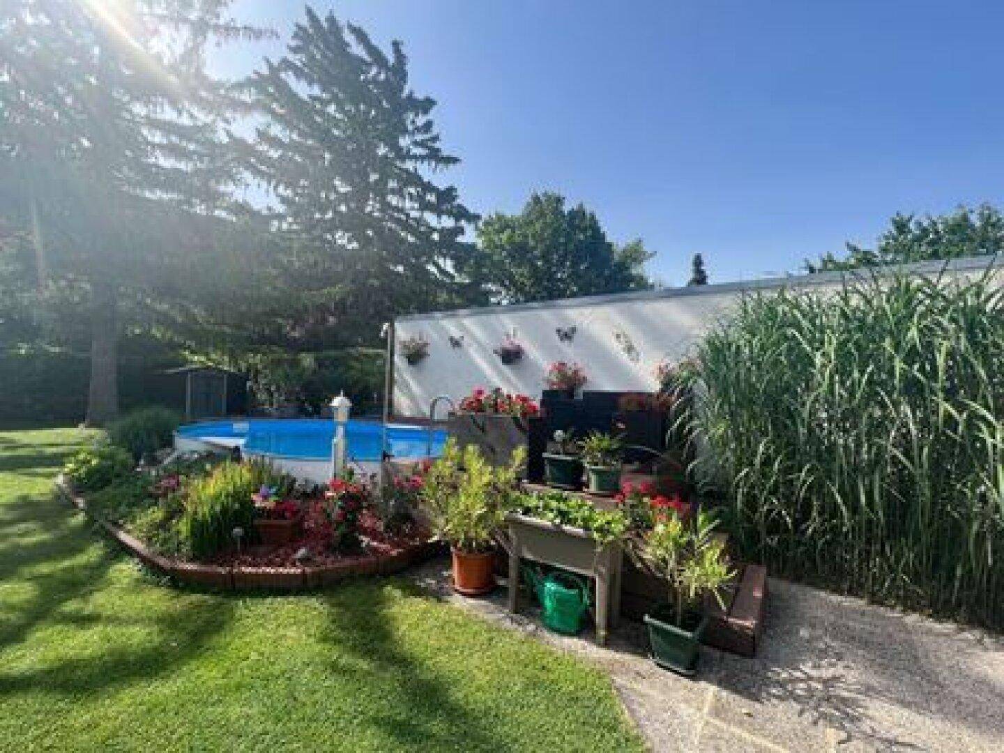Gepflegter Gartenbereich mit einem Aufstellpool, umgeben von üppigen Pflanzen und Blumen.