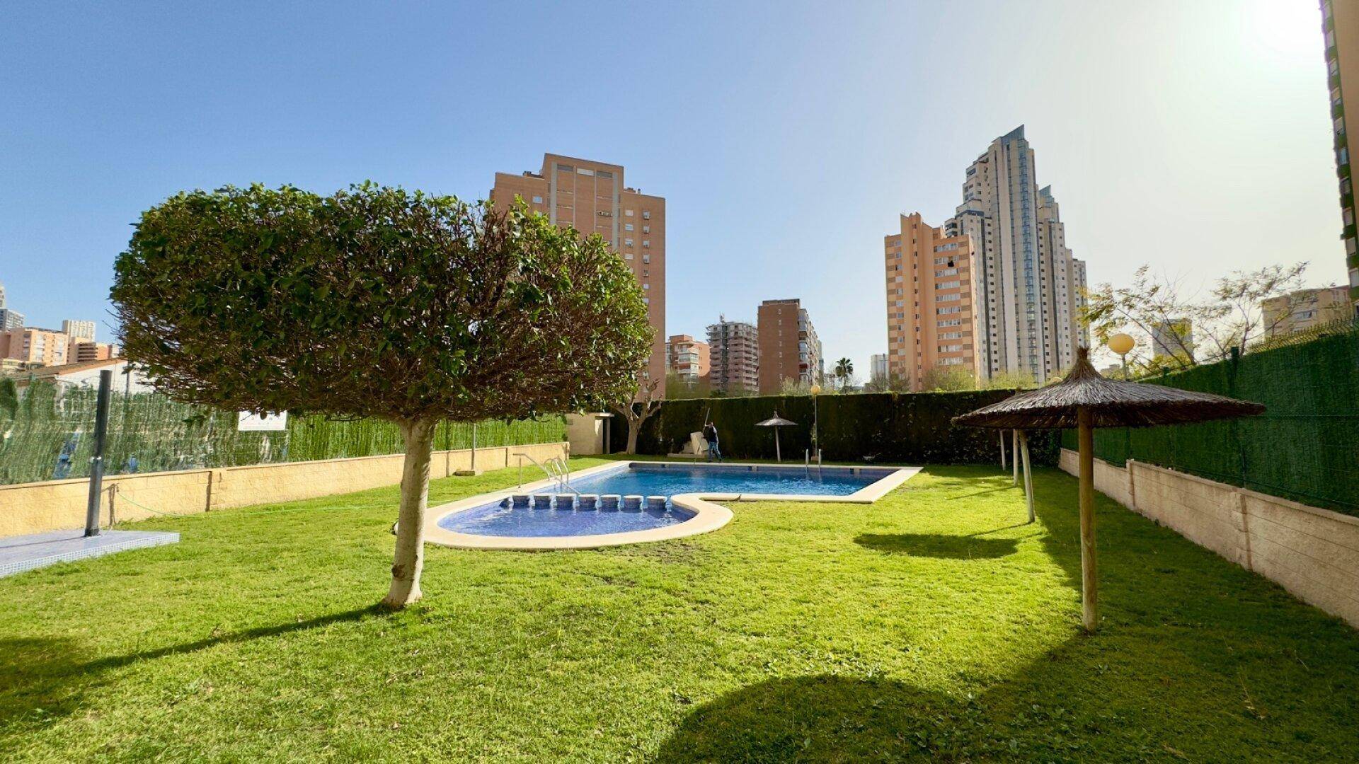 Gepflegter Gartenbereich mit Rasenfläche, Swimmingpool und Sonnenschirm.