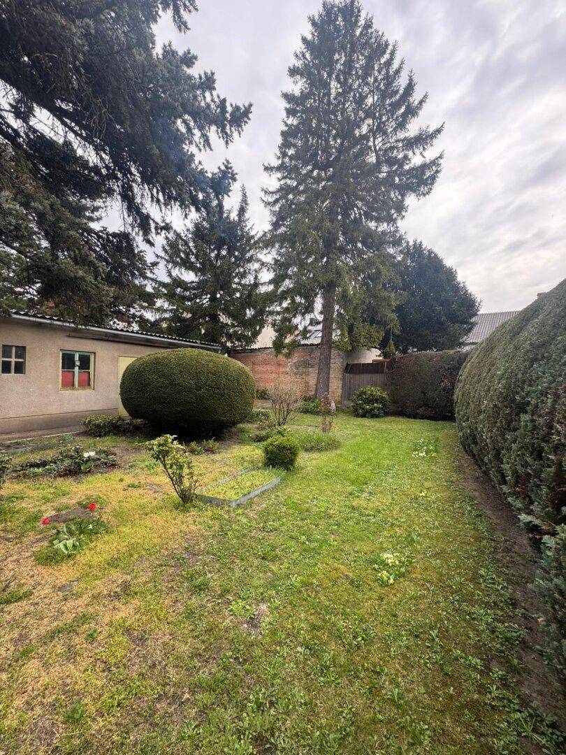 Garten mit einer großen, runden Hecke, Rasenfläche und einer langen Begrenzungshecke.