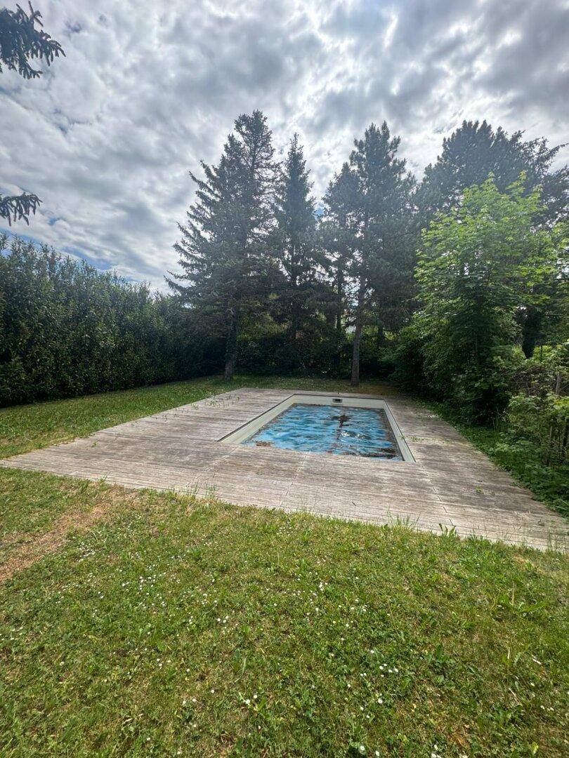 Außenpool mit Holzdeck, eingebettet in einen grünen Garten mit hohen Bäumen.