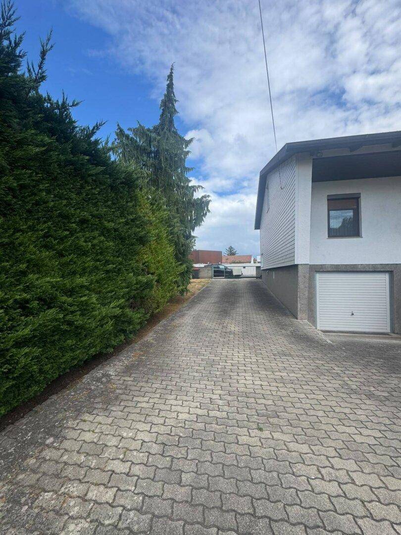 Gepflasterte Einfahrt entlang einer hohen Hecke, die zum hinteren Grundstück führt.